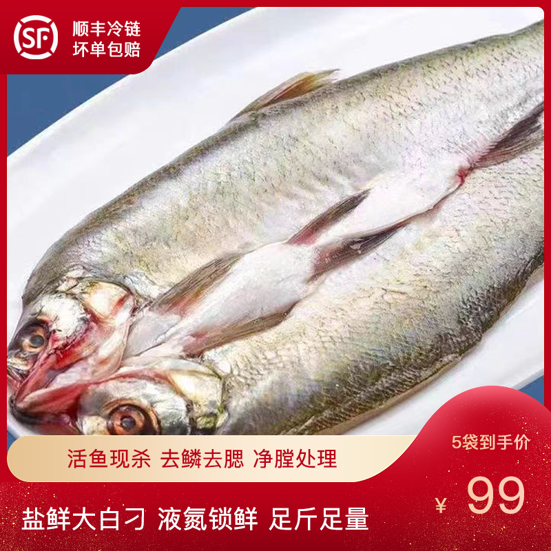 新益鲜5条翘嘴白鱼鲜活鱼噘嘴鱼大白刁 净膛美味冷链
