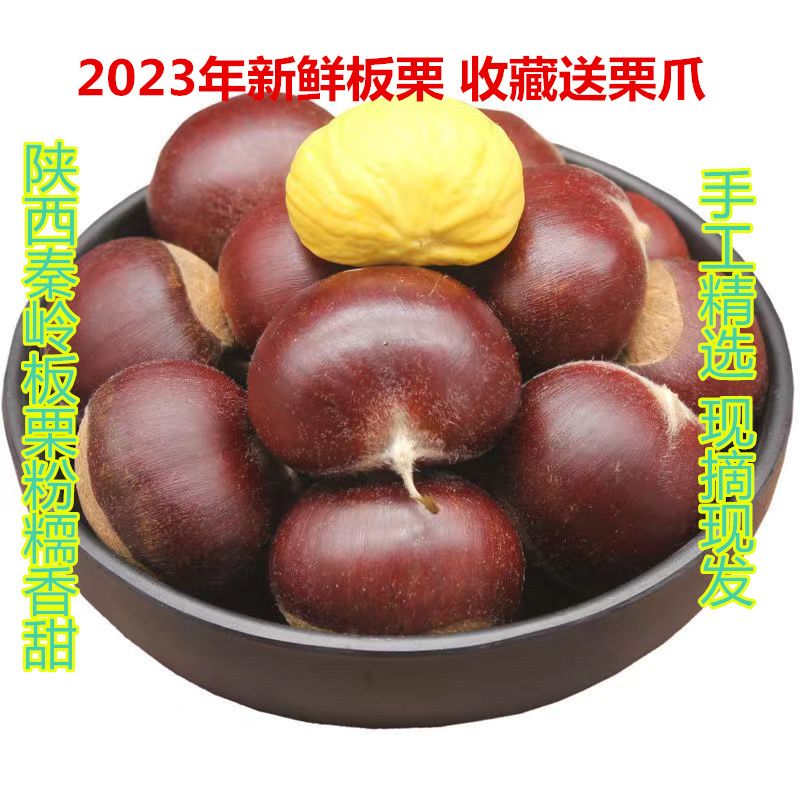 新鲜板栗2023新货上市陕西秦岭生栗子现摘毛栗子生板栗1g