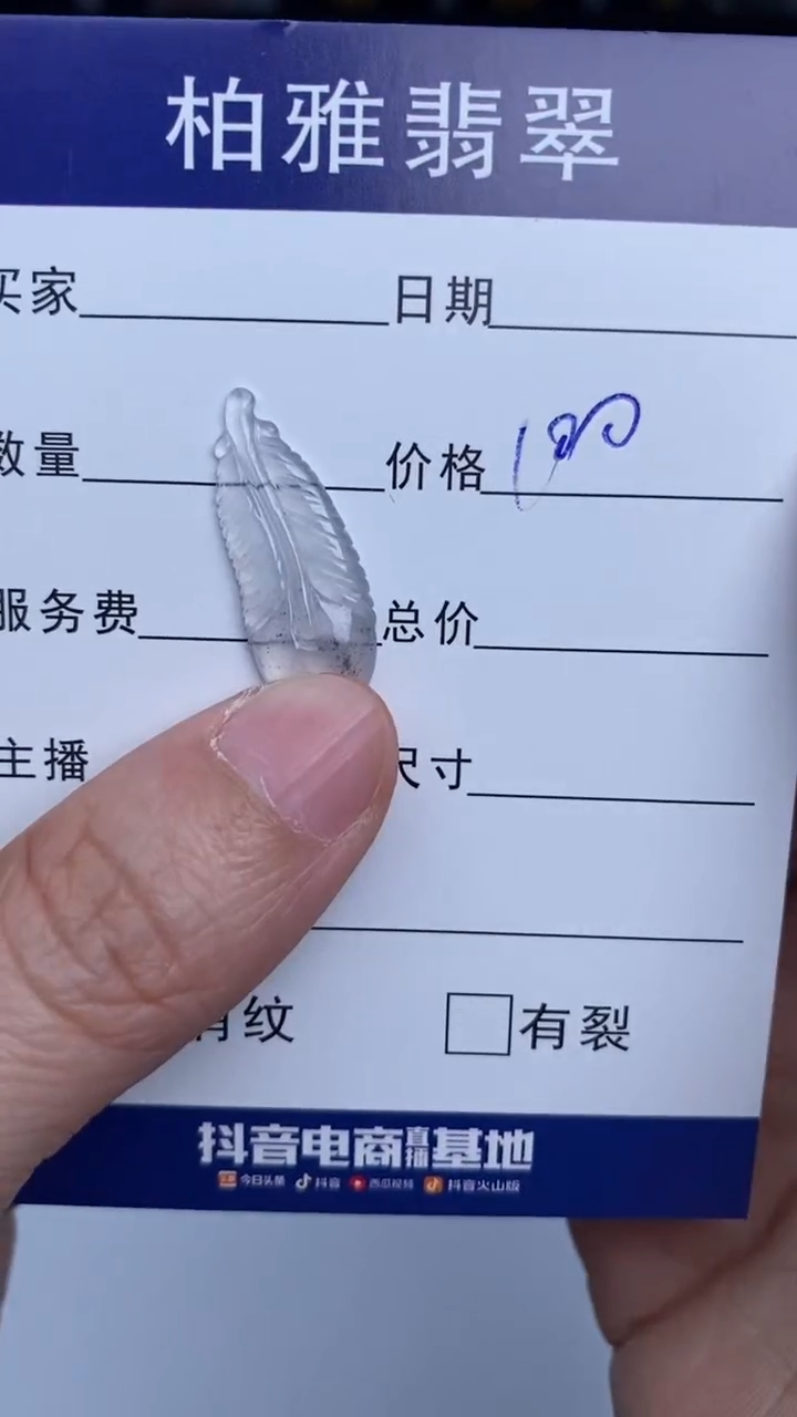 【闪购商品】翡翠颈饰未镶嵌羽毛