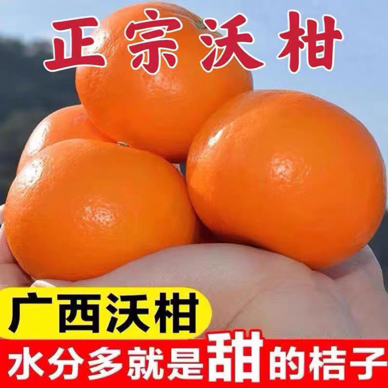 【抢购中】广西武鸣沃柑1-9斤新鲜水果皇帝柑砂糖蜜橘非粑粑柑丑橘