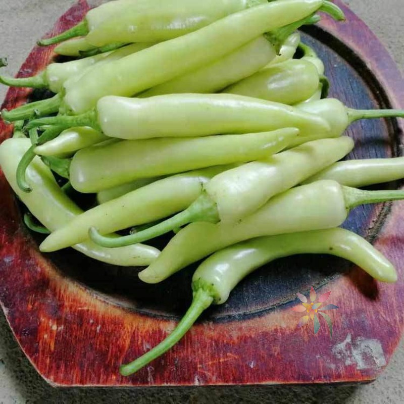 广西大个白辣椒白玉椒粉店腌制泡椒白皮辣椒白尖椒中/0lb蔬菜组合