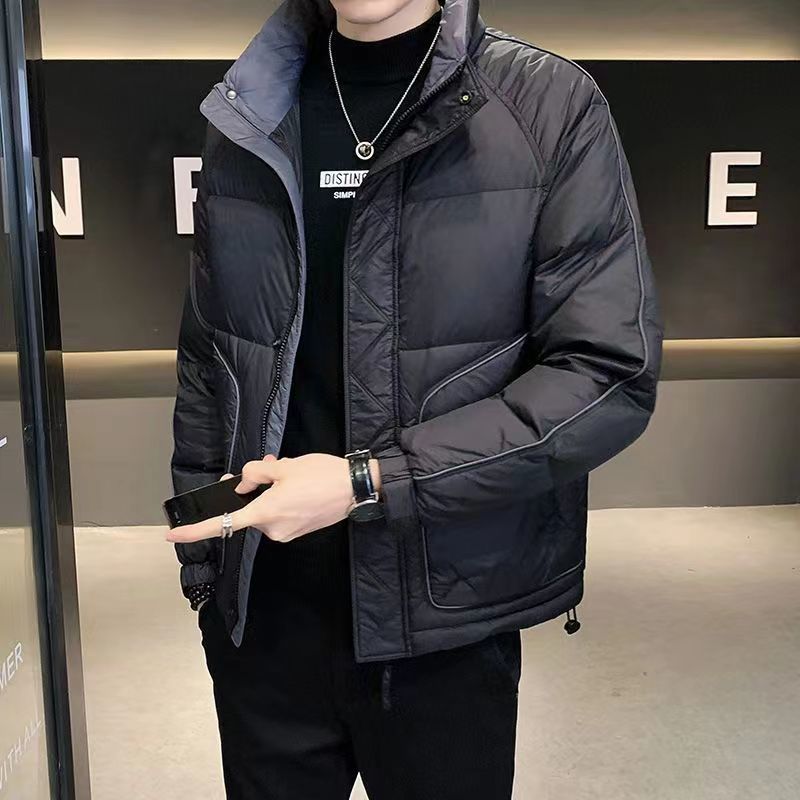 波登司羽绒服白鸭绒新款爆款羽绒男款季高端潮流立领短款外套时尚