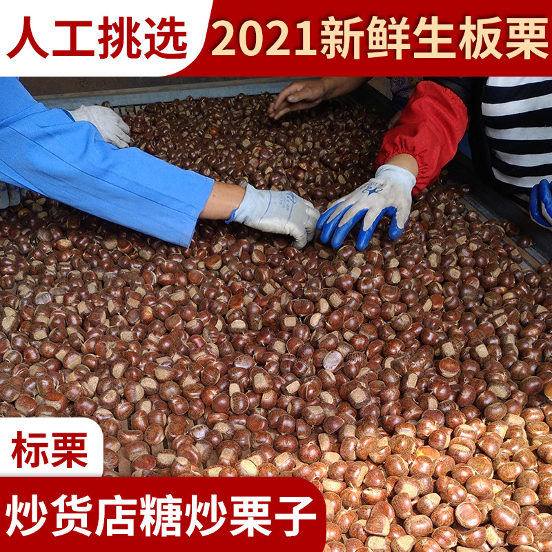 迁西板栗糖炒板栗店爱用物流快24小时收货全年批发新鲜油栗甘营养