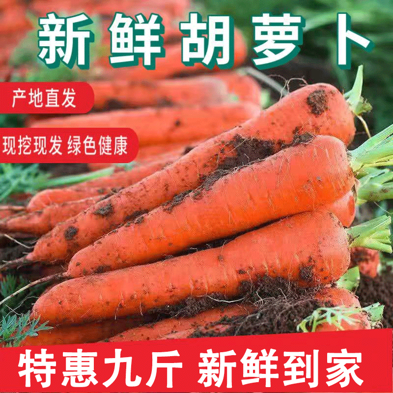 新鲜带泥胡萝卜红萝卜农家自种水果萝卜现挖现发新鲜蔬菜营养
