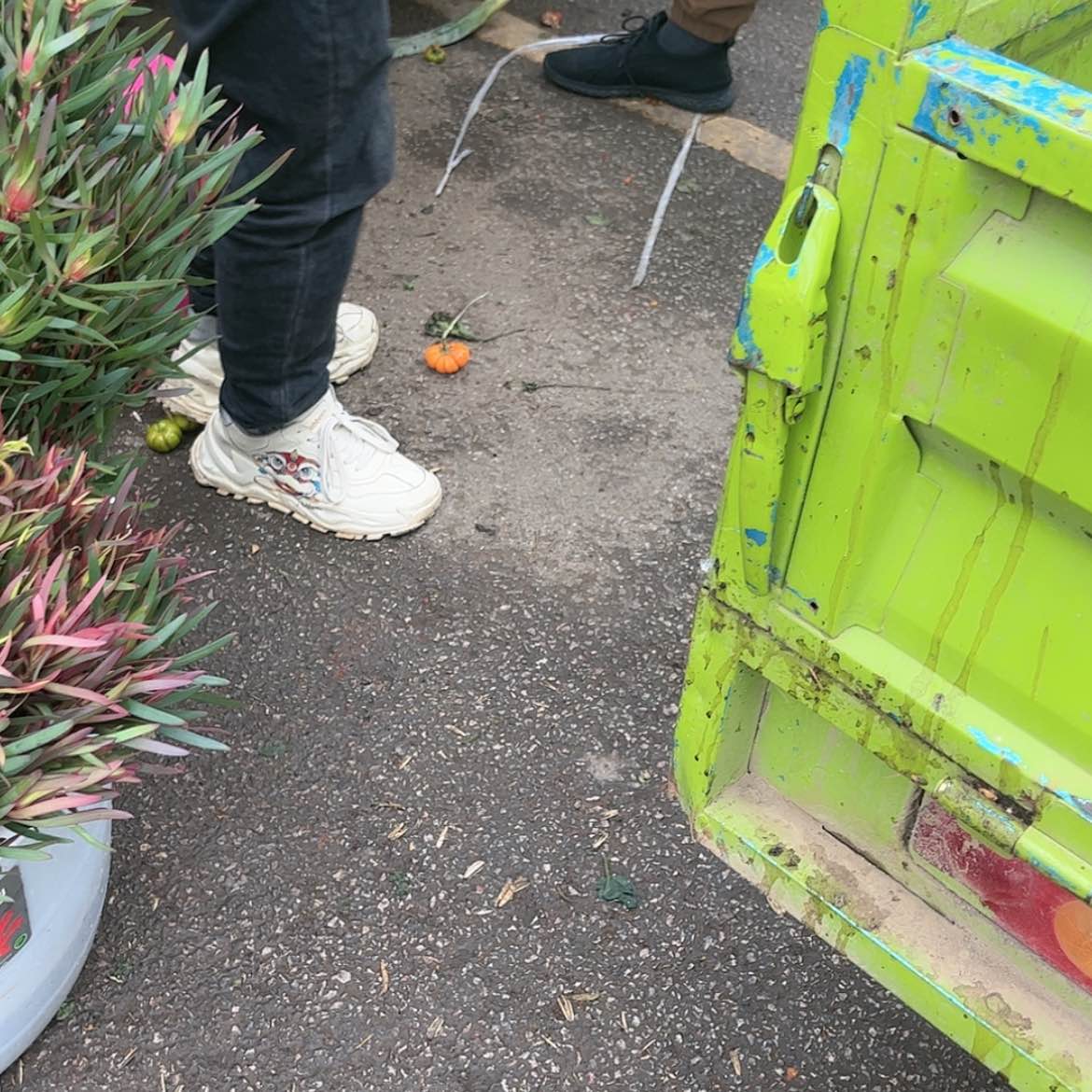 【闪购商品】0度以下加拍保温棉