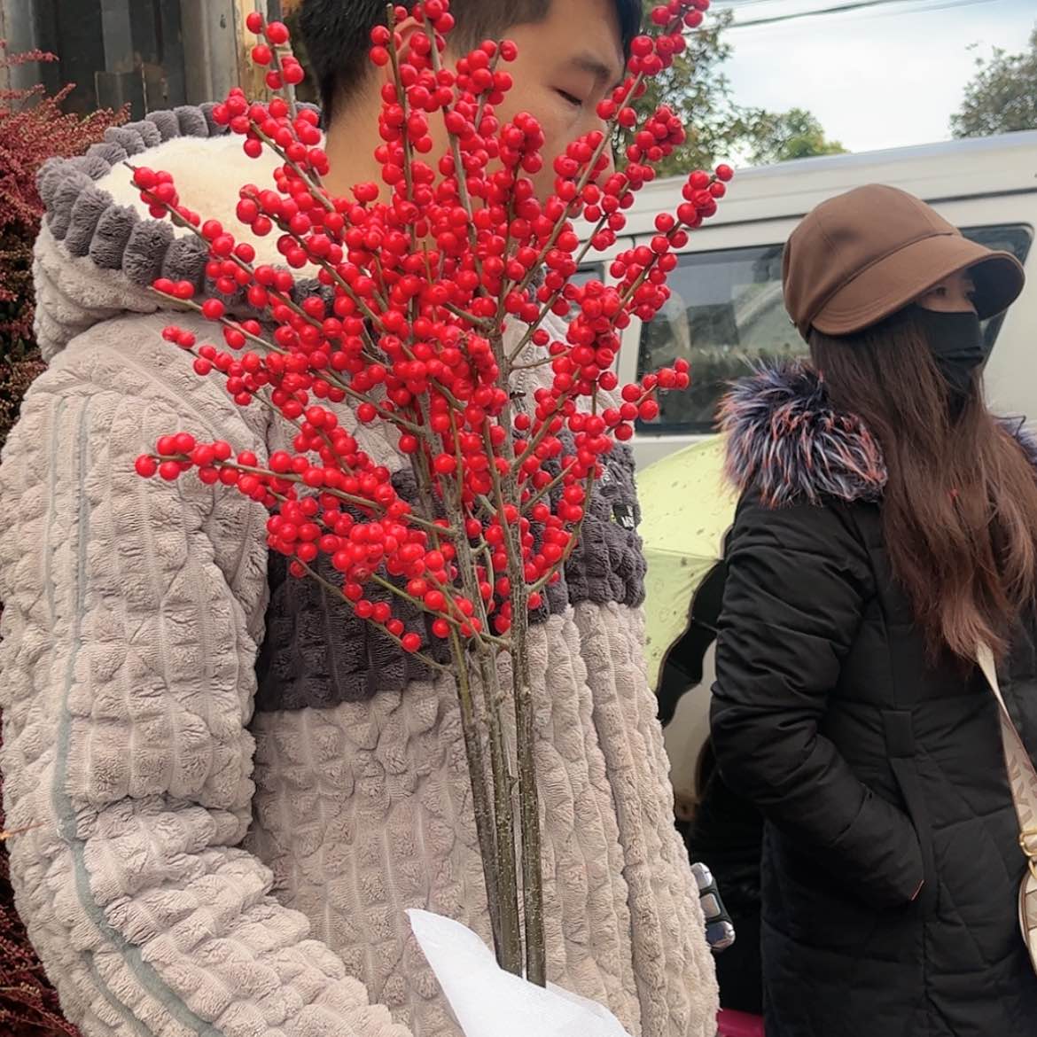 【闪购商品】冬青3支顺丰冷链包邮