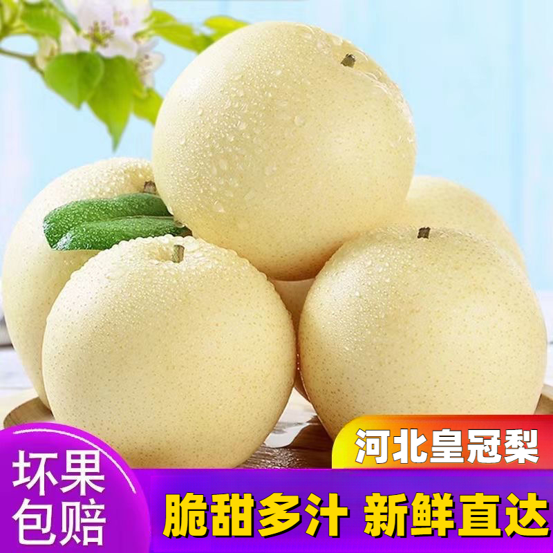 河北皇冠梨应季果园新鲜佳品尝鲜甜梨品质爽口大果梨肉质细腻多汁