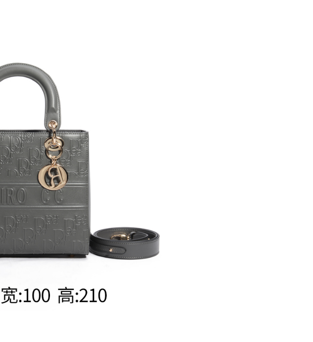 【CEFIRO · CiCi】 新品上新！新款女包 WGG-1FB668-242401 灰色