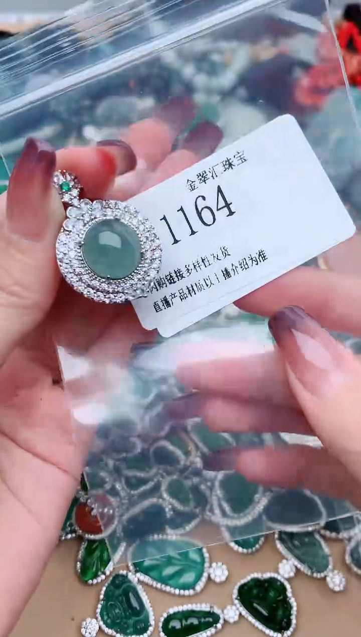 【闪购商品】翡翠颈饰未镶嵌1164