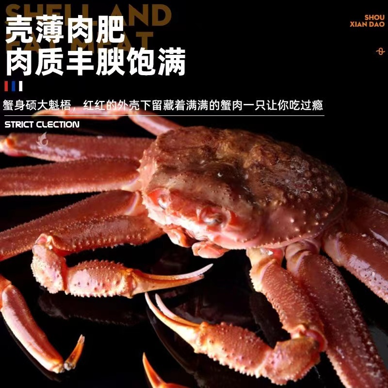 松叶蟹1只