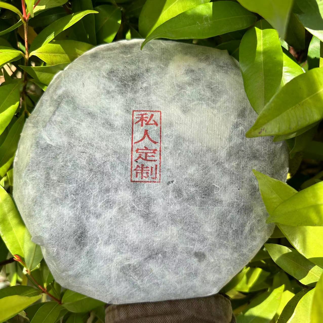 莎莎的茶     白棉纸私人定制古树普洱茶357g/饼 生普