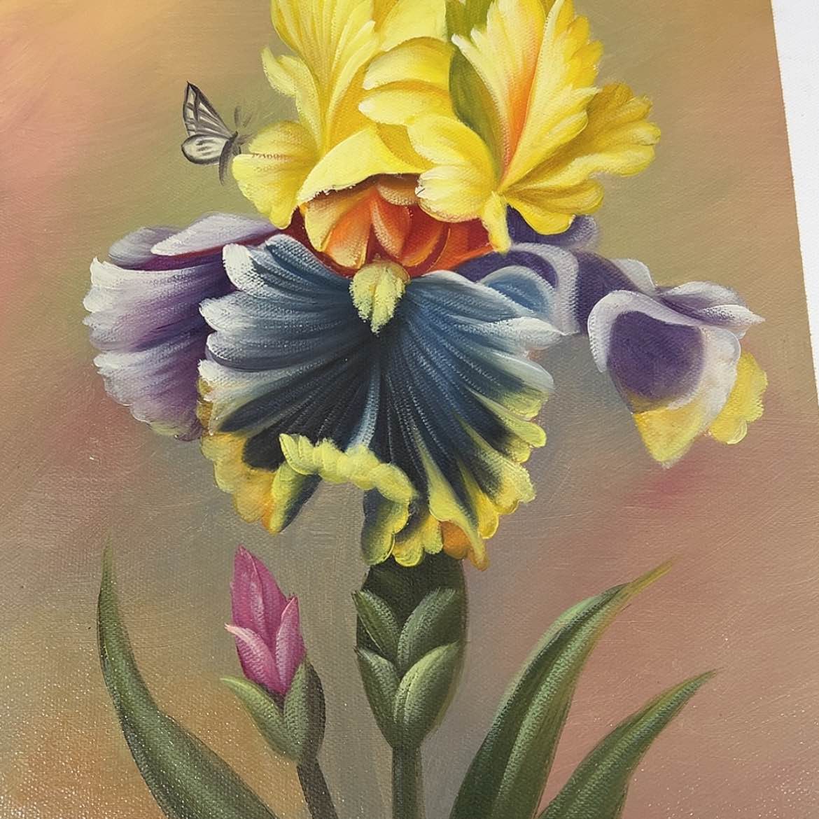 【闪购商品】绘画h zi