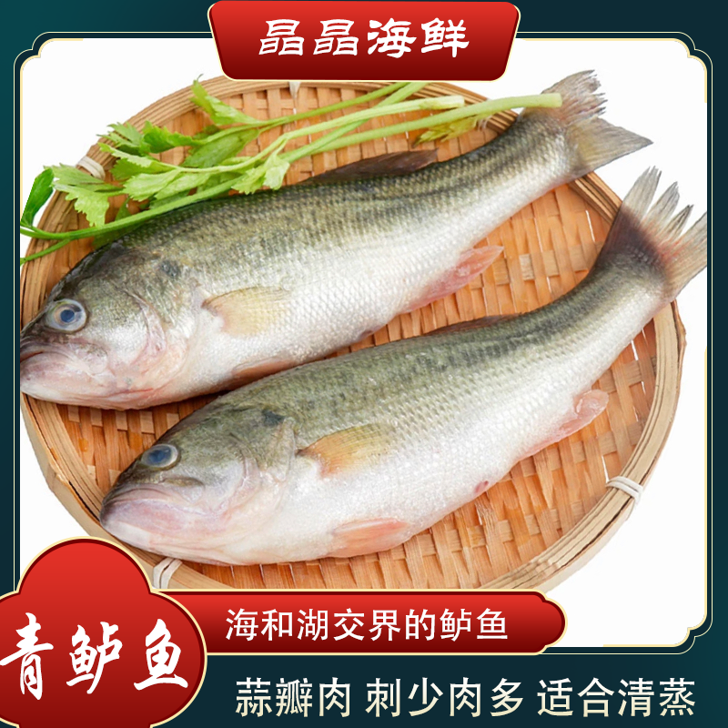 【青鲈鱼】新鲜野生青鲈鱼清蒸鱼原生态淡水嫩鲈鱼蒜瓣肉4-10斤