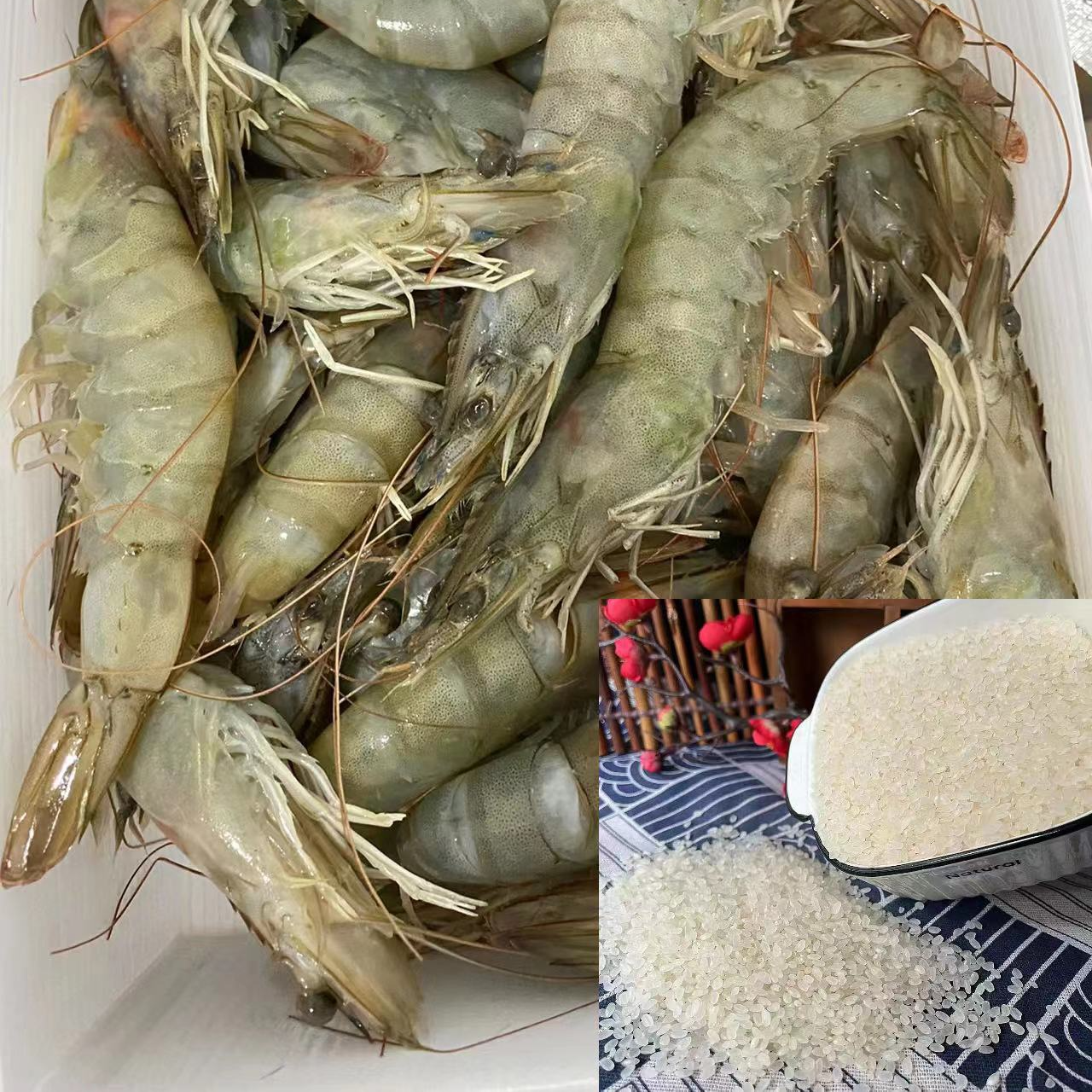 2.1到手一袋  700g猫牙米  虾类商家赞助