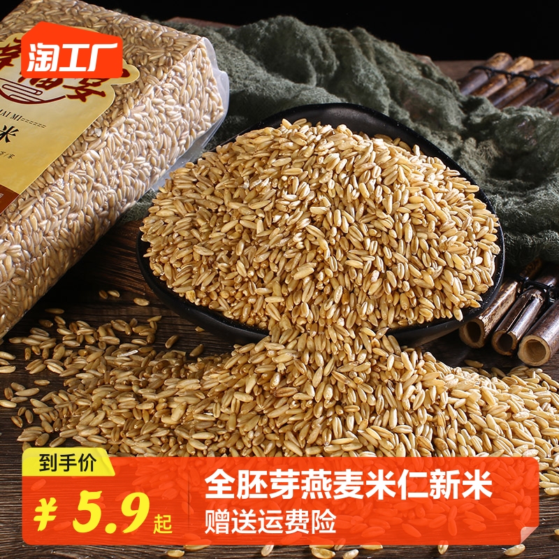 燕麦米全胚芽燕麦粒生裸燕麦莜麦五谷杂粮粗粮500g青麦仁