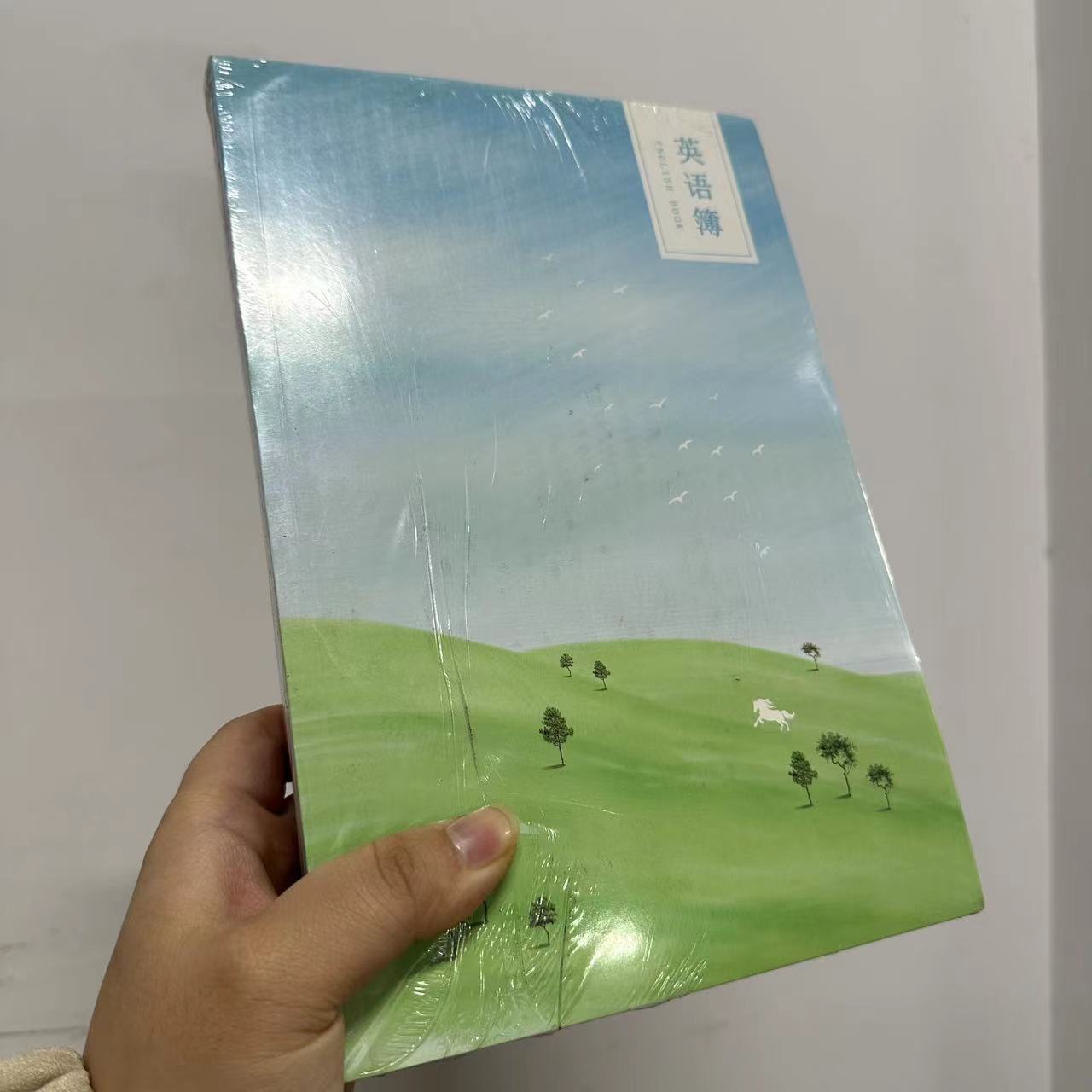 【直播477】莱特 N0740S B5卡面卡通英语本