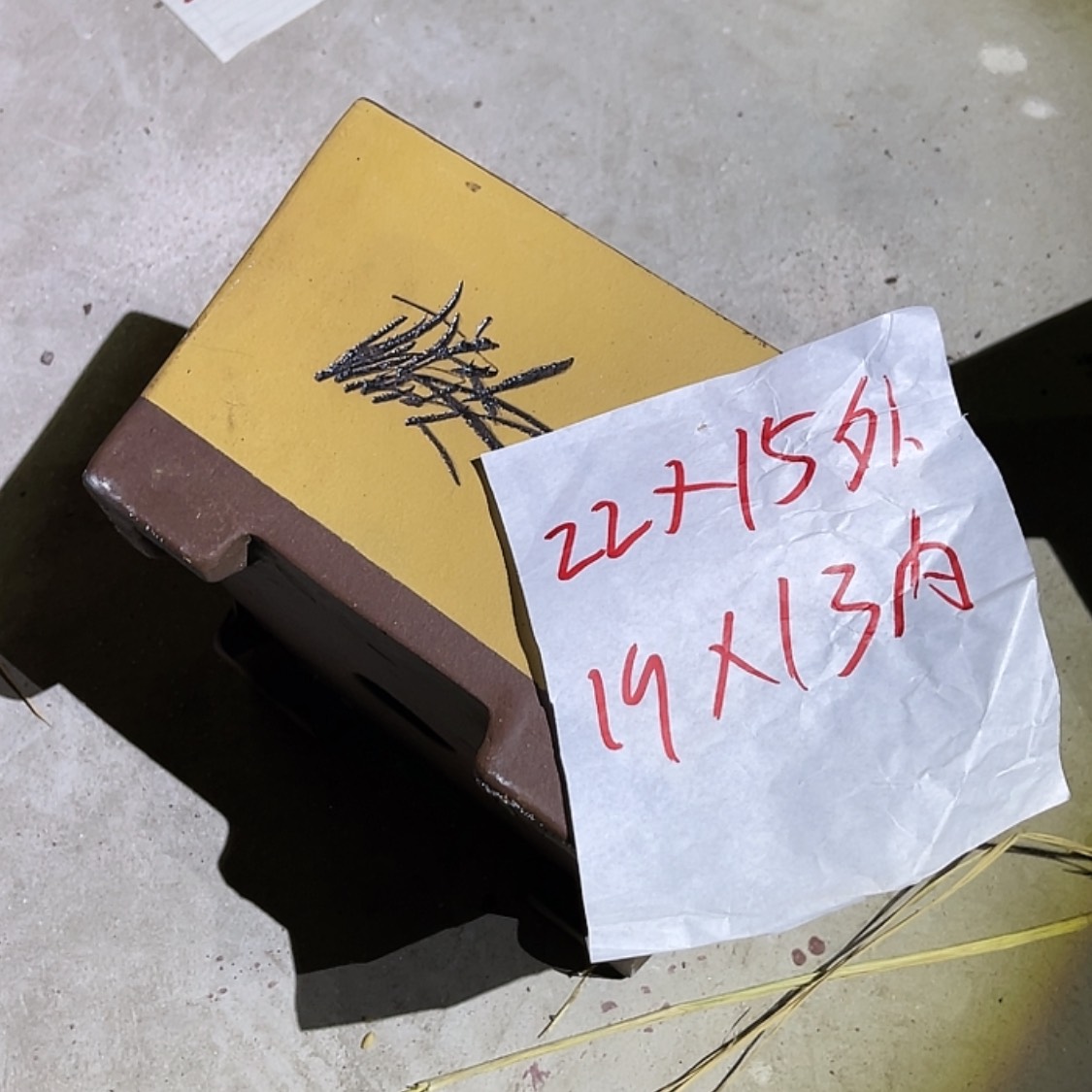 【闪购商品】紫砂20cm(含)-50cm(含)
