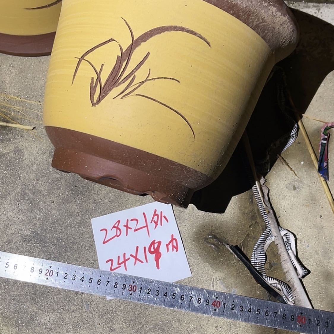 【闪购商品】紫砂20cm(含)-50cm(含)