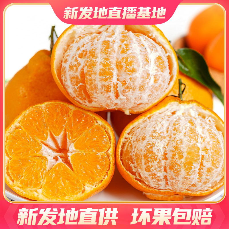 【吃点好的】四川春见耙耙柑【5斤】装   皮薄爆汁 肉质脆嫩 新鲜