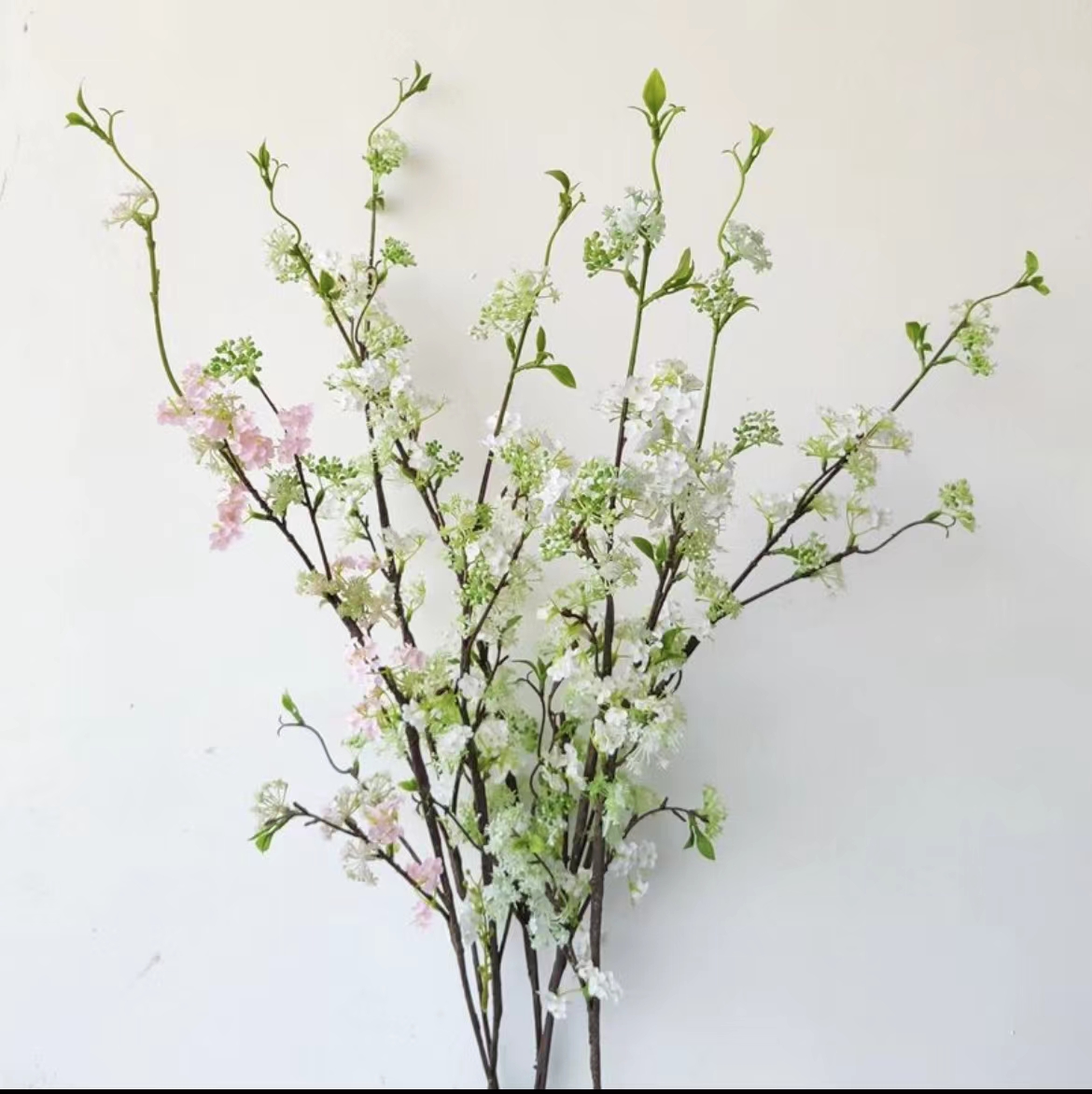 【带花包发货】雪柳鲜枝干枝盆栽水养插花水培植物室内花卉喷雪花