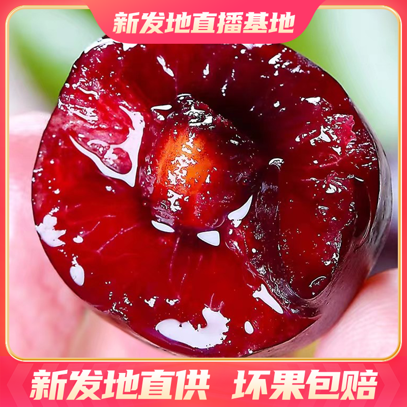【5斤原箱】智利空运3JD/4JD桑提娜Santina车厘子