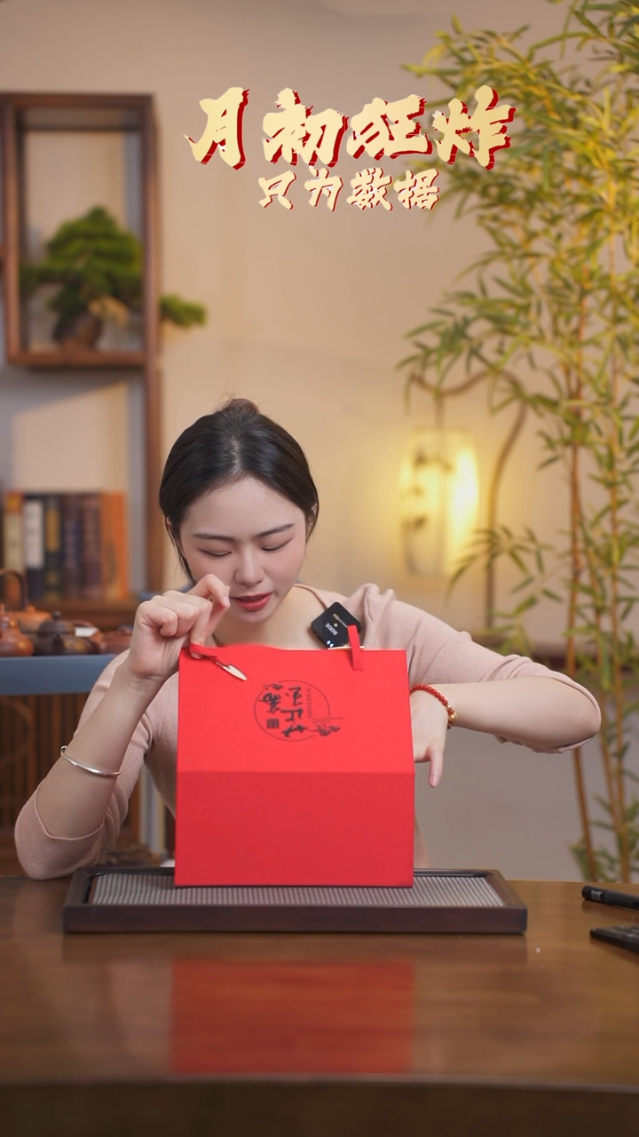 【闪购商品】紫砂茶壶S2304