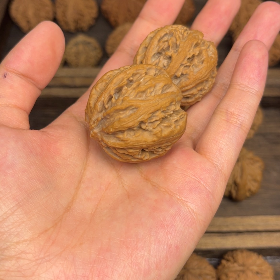 【闪购商品】桃核吊坠