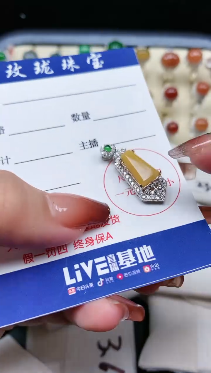 【闪购商品】翡翠颈饰银S925镶嵌1