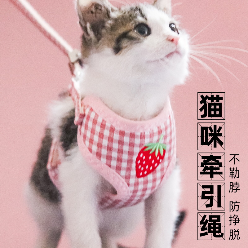 宠物牵引绳舒适胸背带零食包猫咪牵引绳可调节外出遛猫绳可爱经典