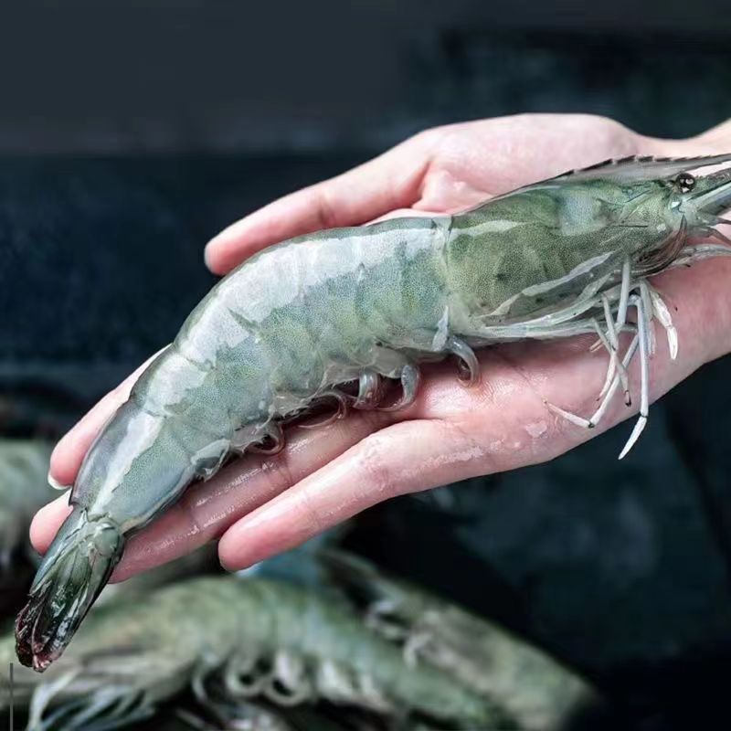 【年货节 浮力不停】美味大虾一盒净重3斤