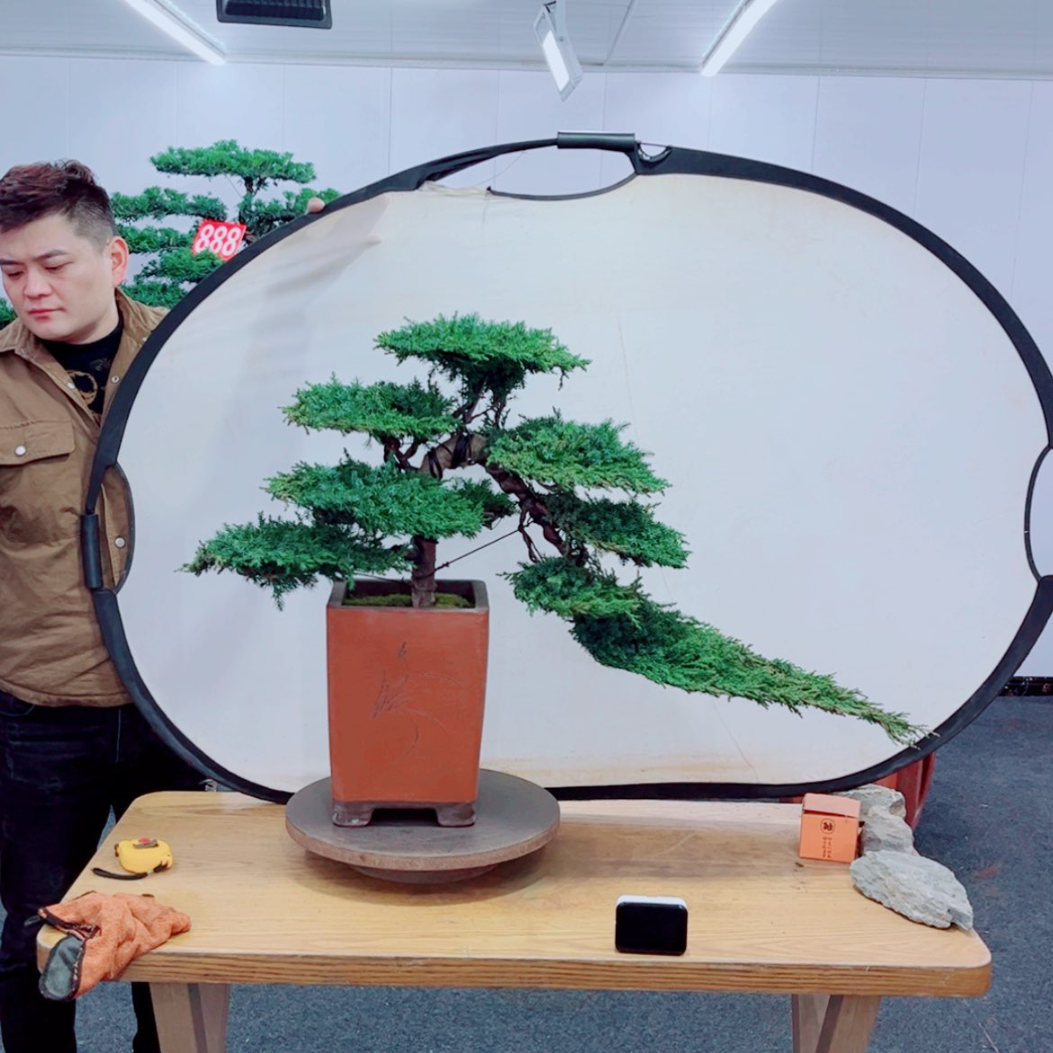 【闪购商品】盆景艺术