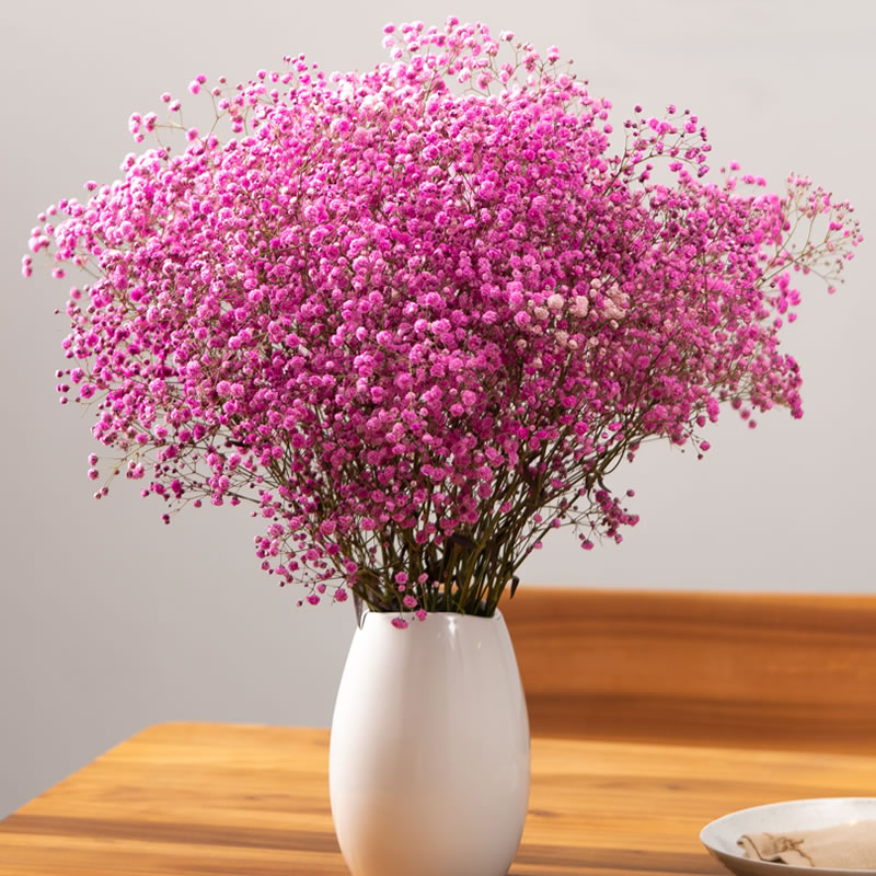 【小扬哥甄选】满天星干花花束客厅摆设干花装饰摆件云南天然高级
