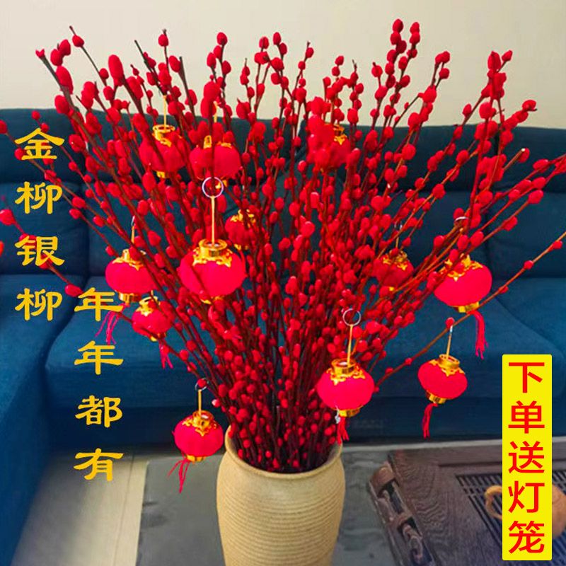 招财银柳真花鲜枝年宵花卉春节水培植物干花红色银柳福桶室内装饰