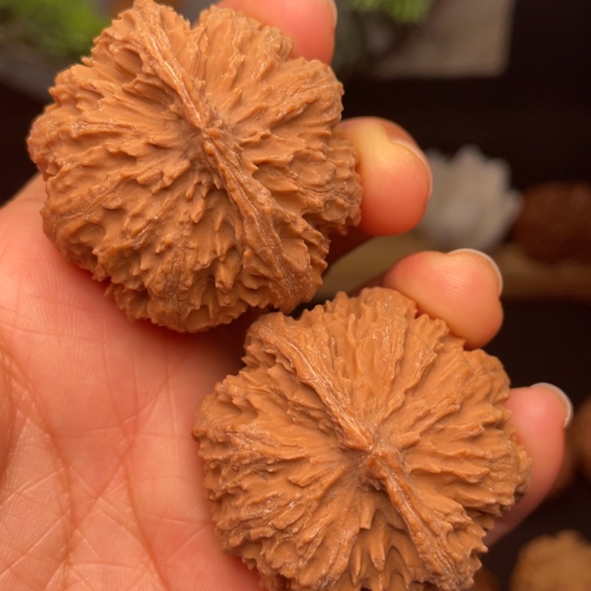 【闪购商品】桃核吊坠2