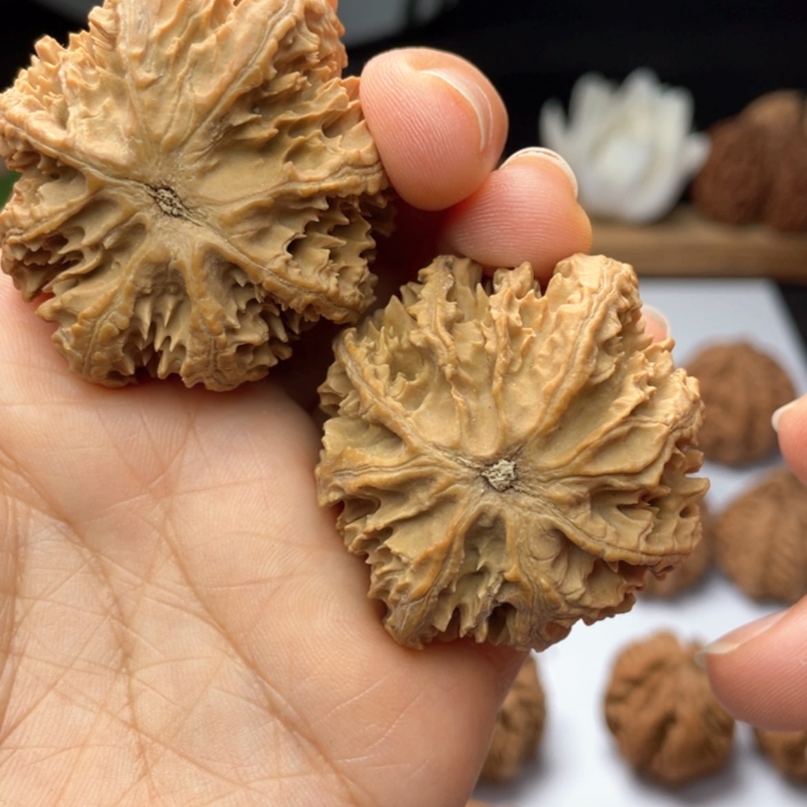 【闪购商品】桃核吊坠风*林48