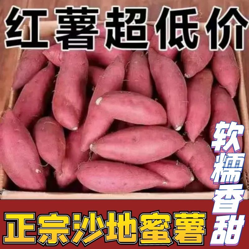 【超低价】新鲜香甜红薯3/5/9斤沙地地瓜番薯软糯香甜整箱批发包邮