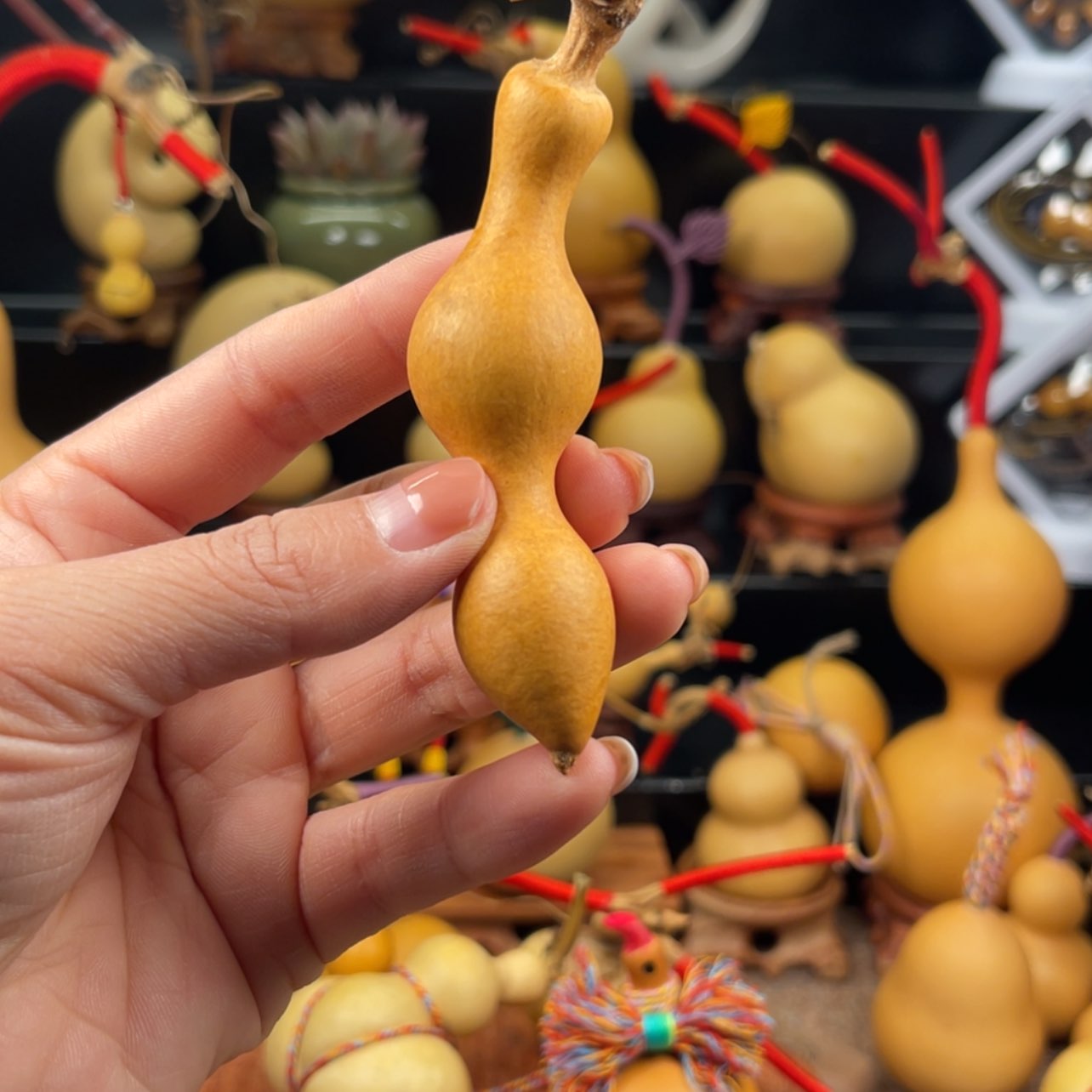 【闪购商品】天然葫芦文*哥