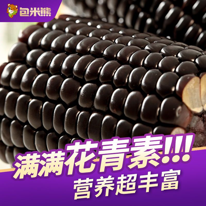 东北黑糯玉米软糯香甜真空包装加热即食紫玉米棒新鲜糯玉米整箱