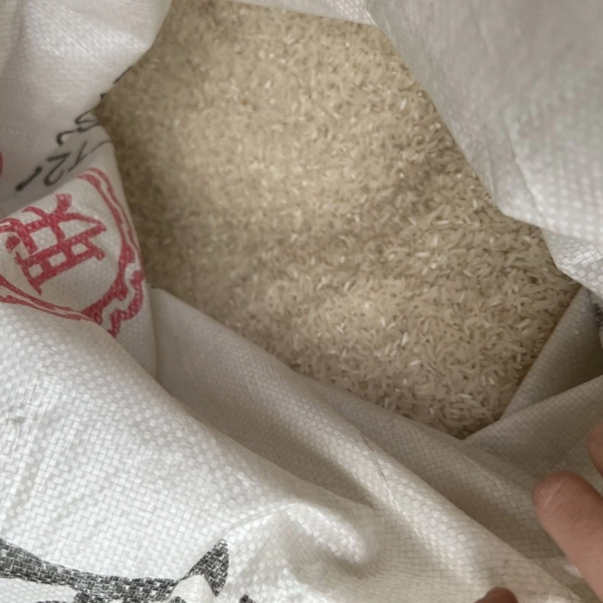 【到手一袋】有问题联系客服   运动鞋