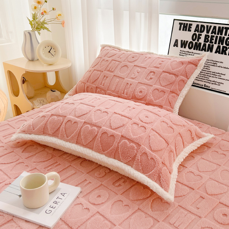 【小扬哥推荐】冬季加厚牛奶塔芙绒枕套一对装家用珊瑚毛枕头套48