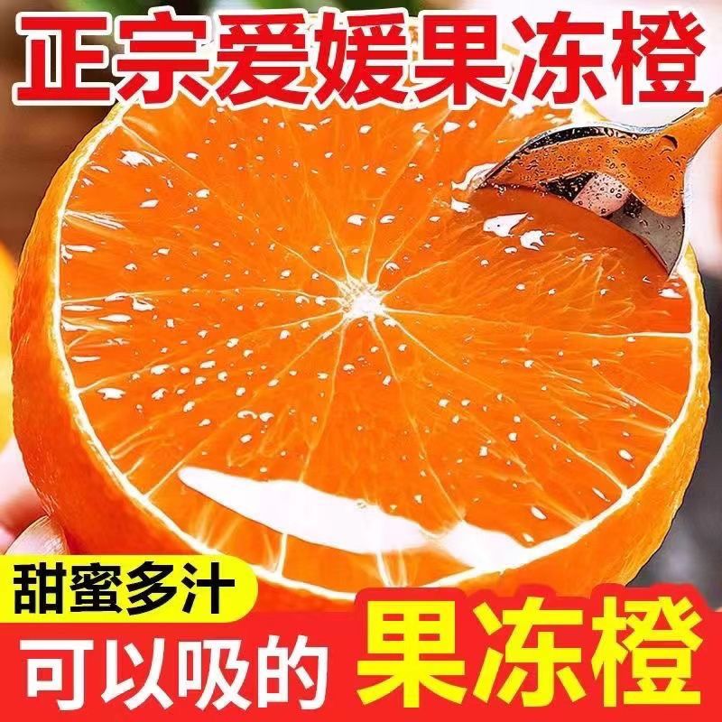 【与辉同行东方甄选】四川正宗爱媛果冻橙晚熟果冻橙孕妇新鲜橙子