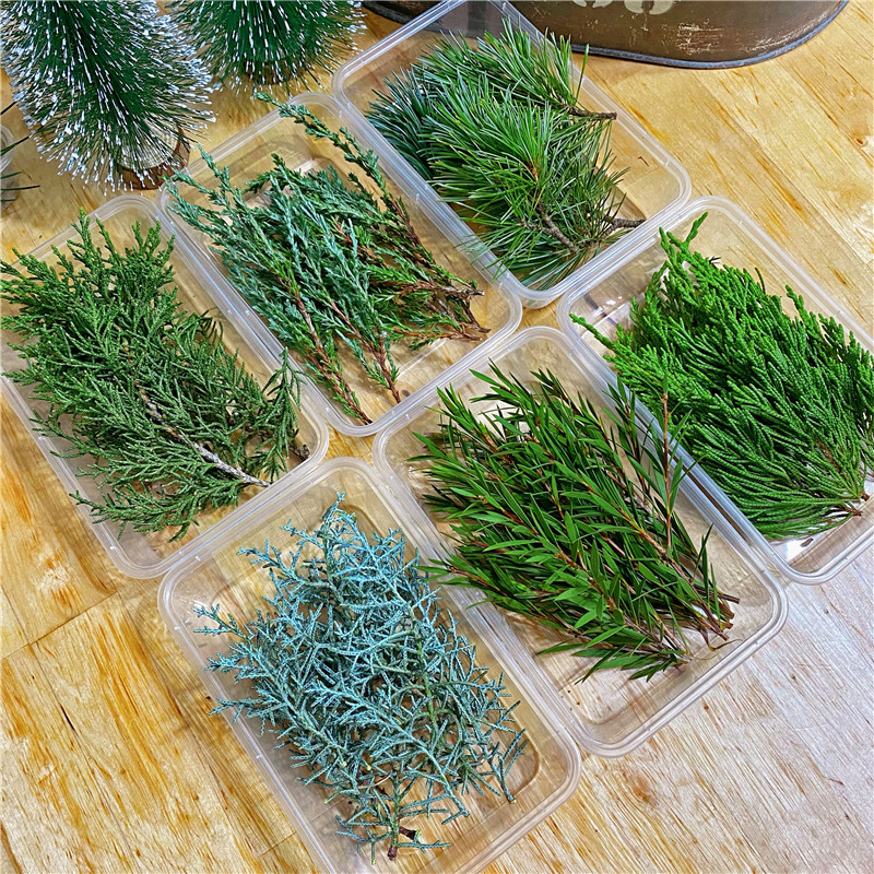 圣诞装饰松真松新鲜绿松松枝松叶松针鲜切diy材料包手工料理点缀