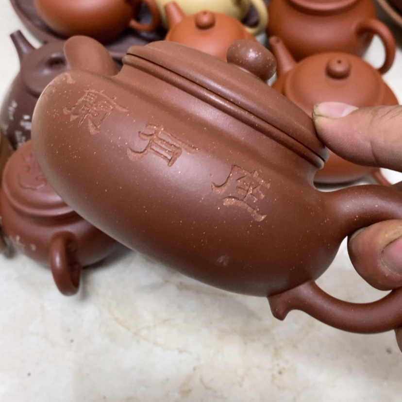 【闪购商品】紫砂茶壶草*