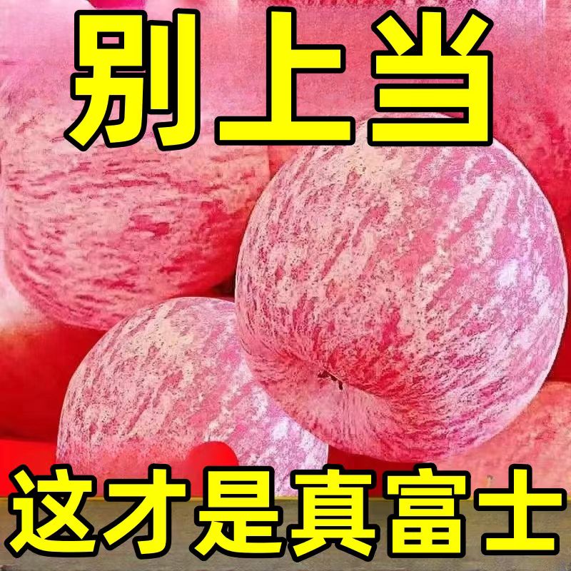 【一人领一箱】正宗山东烟台栖霞红富士苹果应季水果新鲜10/5/1斤