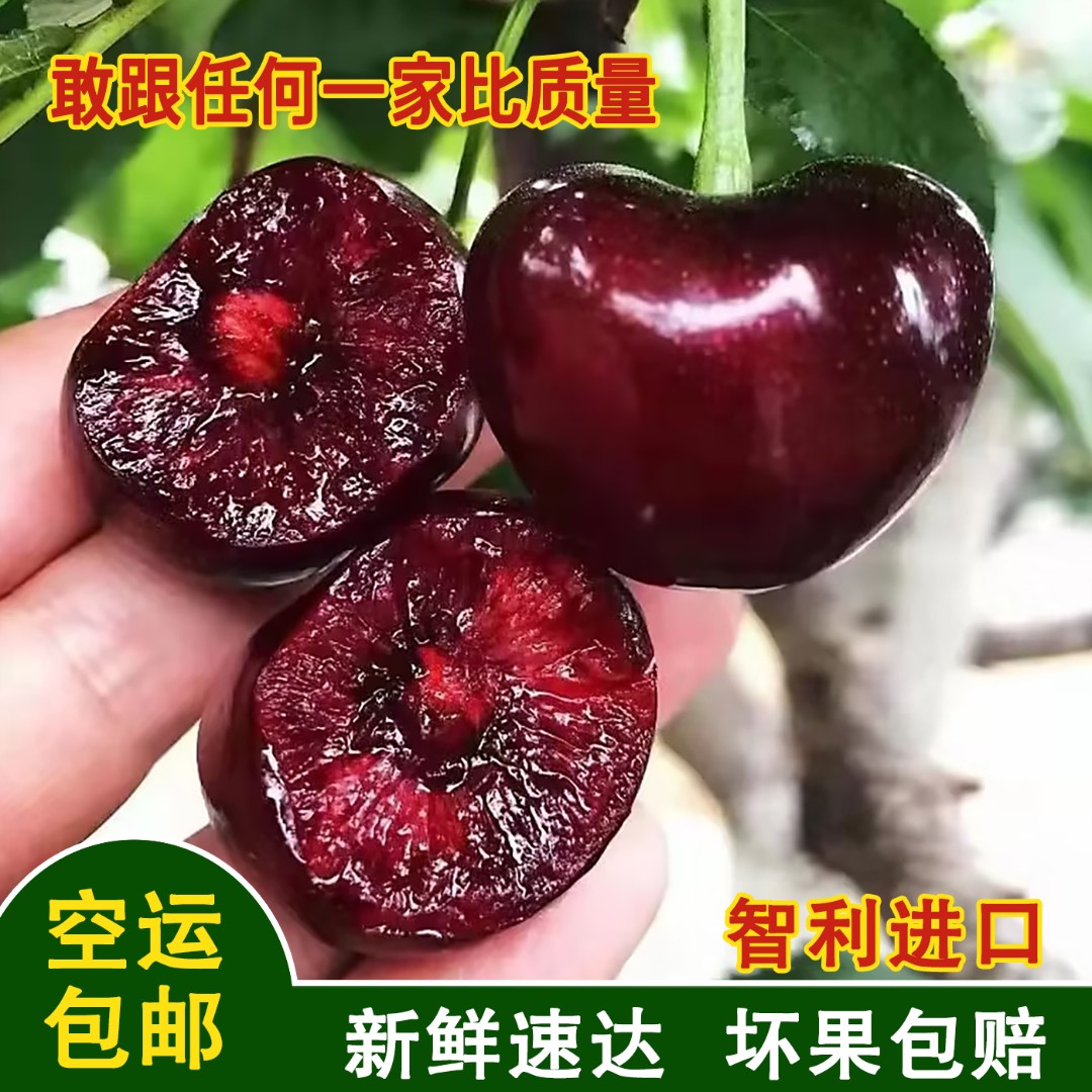 甄选桑提娜智利进口车厘子新鲜水果JJJ顺丰冷链包邮5斤总12.2