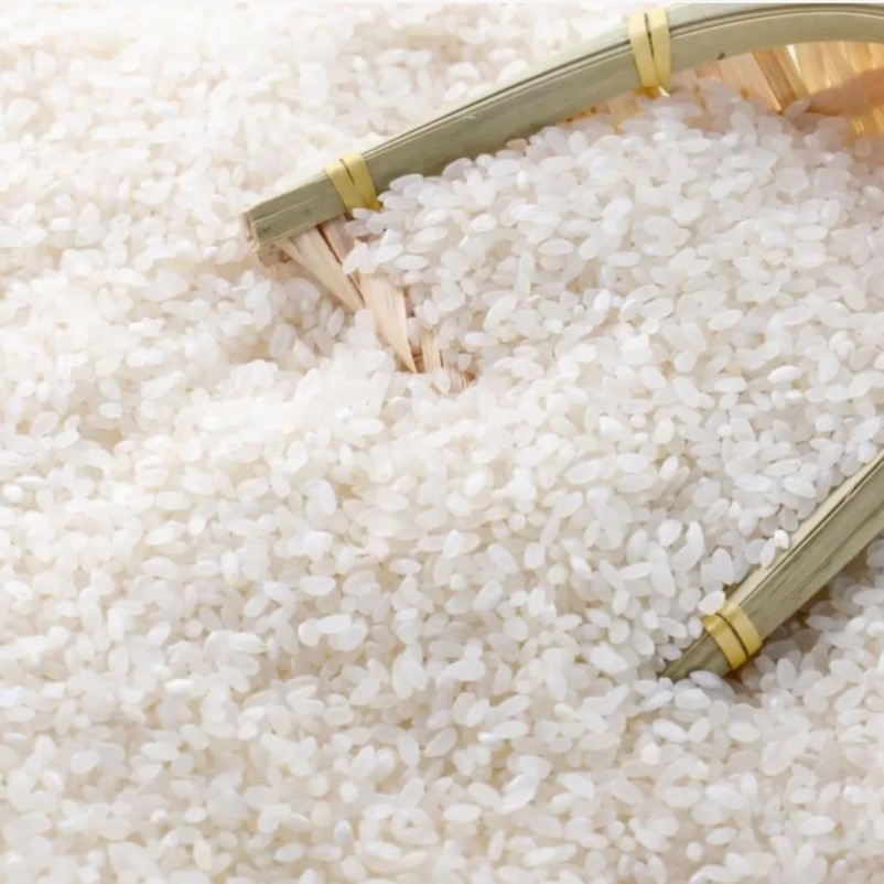 【低于2次不发货】500g一包有问题联系客服 化纤被 被子商家赞助A