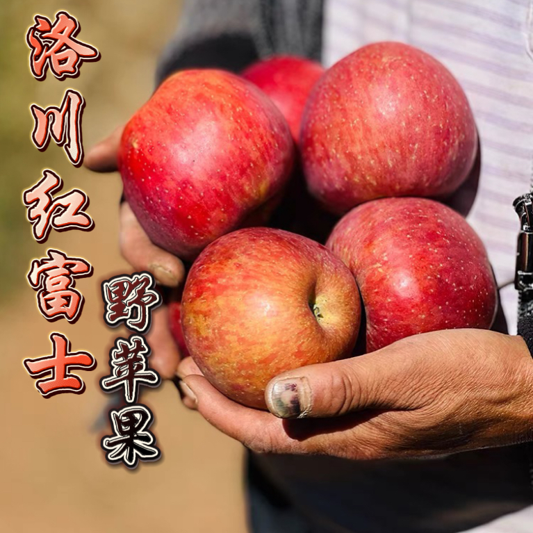 【洛川红富士 丑苹果】纯甜无酸 5/8.5斤 黄土高塬野苹果产地直发