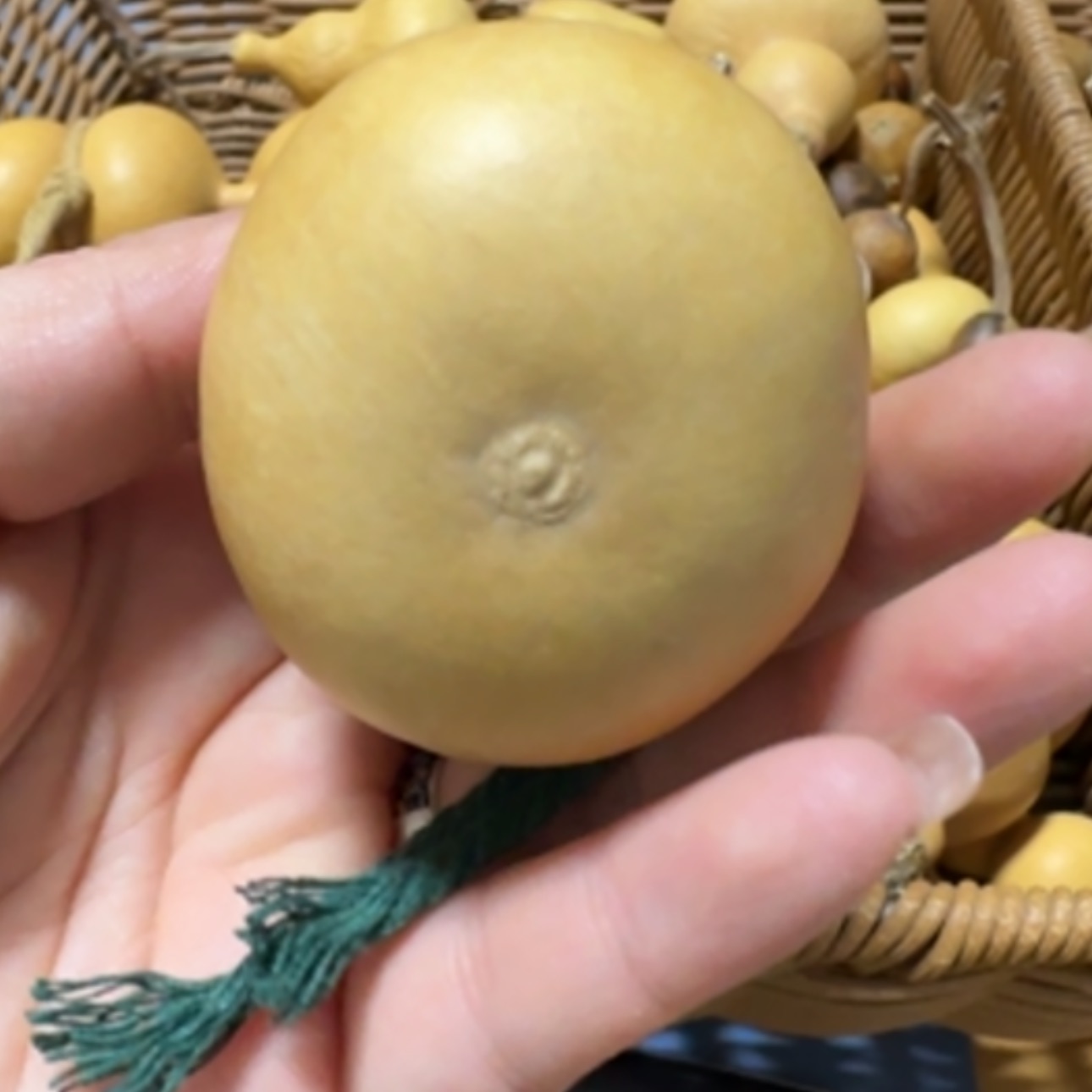 【闪购商品】天然葫芦绝***.