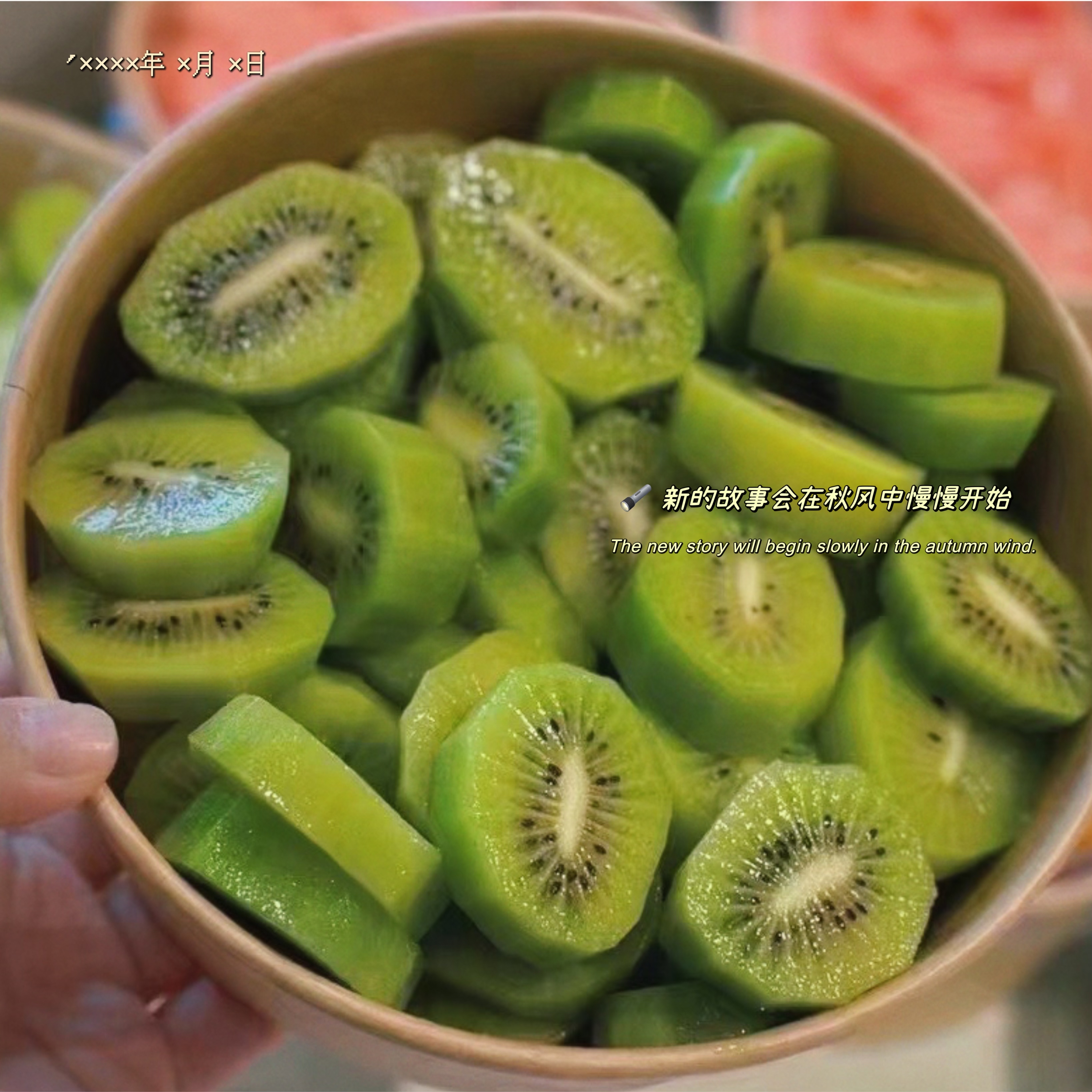 VC修文猕猴桃380g/盒