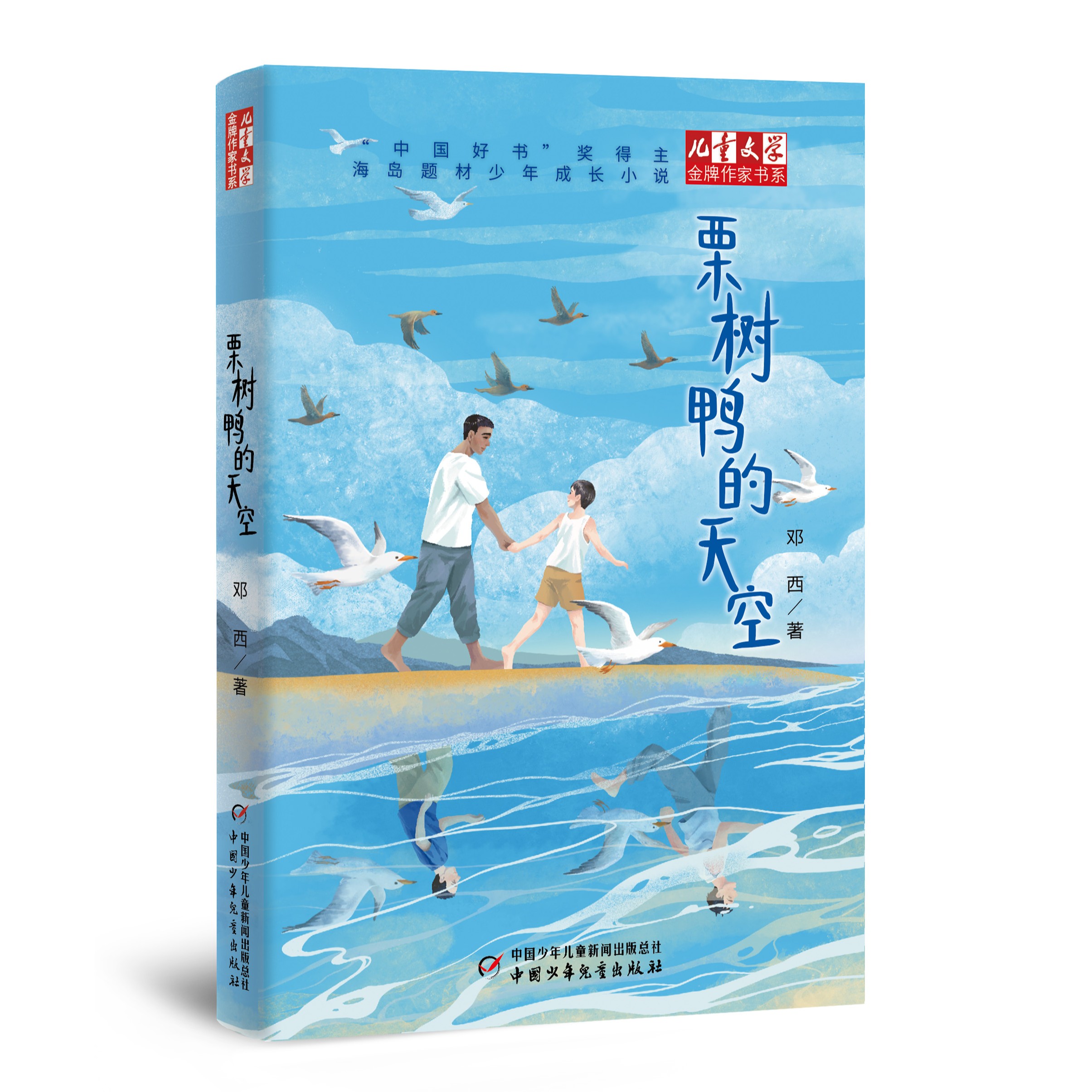 栗树鸭的天空·儿童文学金牌作家书系hxd